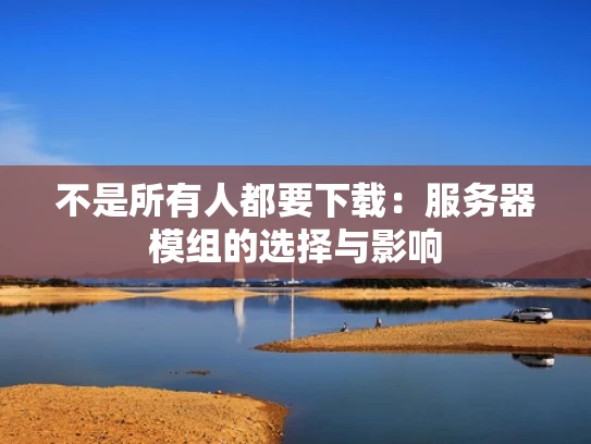 不是所有人都要下载：服务器模组的选择与影响