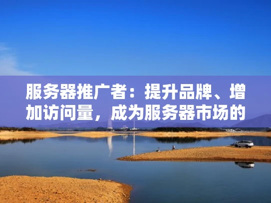 服务器推广者：提升品牌、增加访问量，成为服务器市场的关键角色