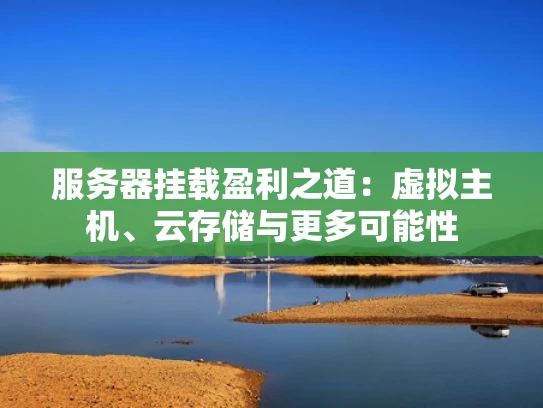 服务器挂载盈利之道：虚拟主机、云存储与更多可能性