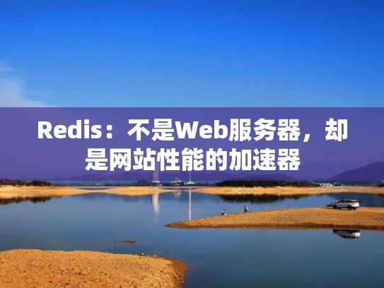 Redis：不是Web服务器，却是网站性能的加速器