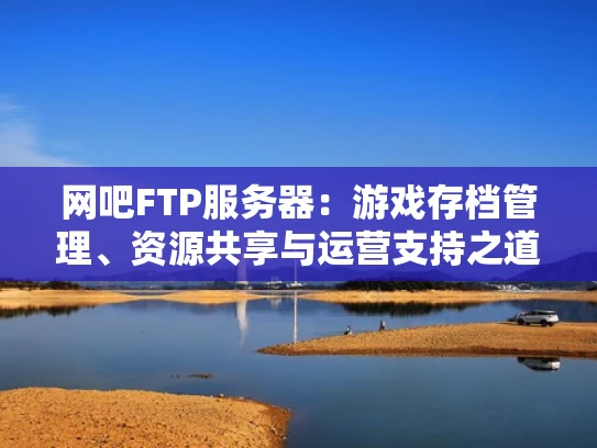 网吧FTP服务器：游戏存档管理、资源共享与运营支持之道