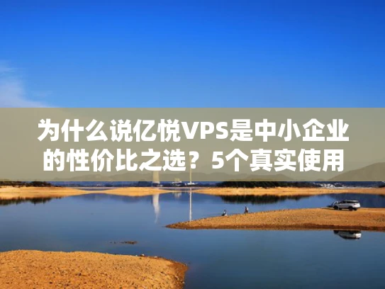 为什么说亿悦VPS是中小企业的性价比之选？5个真实使用场景解析