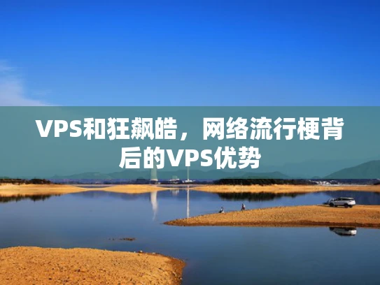 VPS和狂飙皓，网络流行梗背后的VPS优势
