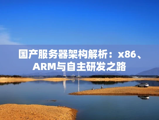 国产服务器架构解析：x86、ARM与自主研发之路
