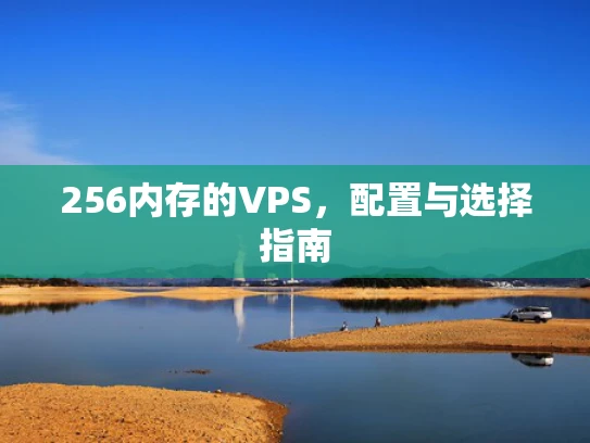 256内存的VPS，配置与选择指南