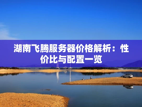 湖南飞腾服务器价格解析：性价比与配置一览