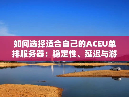 如何选择适合自己的ACEU单排服务器：稳定性、延迟与游戏体验全解析