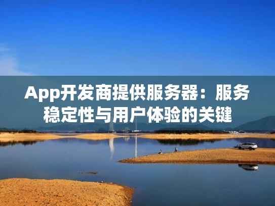 App开发商提供服务器：服务稳定性与用户体验的关键