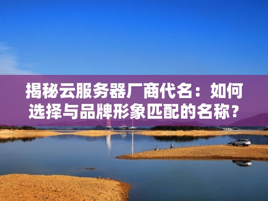 揭秘云服务器厂商代名：如何选择与品牌形象匹配的名称？