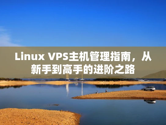 Linux VPS主机管理指南，从新手到高手的进阶之路