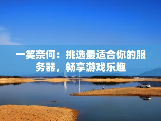 一笑奈何：挑选最适合你的服务器，畅享游戏乐趣