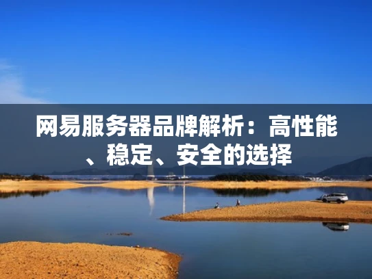 网易服务器品牌解析：高性能、稳定、安全的选择