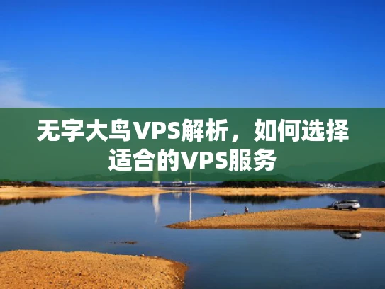 无字大鸟VPS解析，如何选择适合的VPS服务