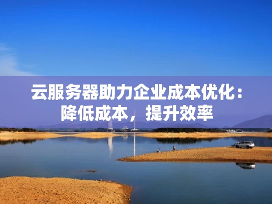 云服务器助力企业成本优化：降低成本，提升效率