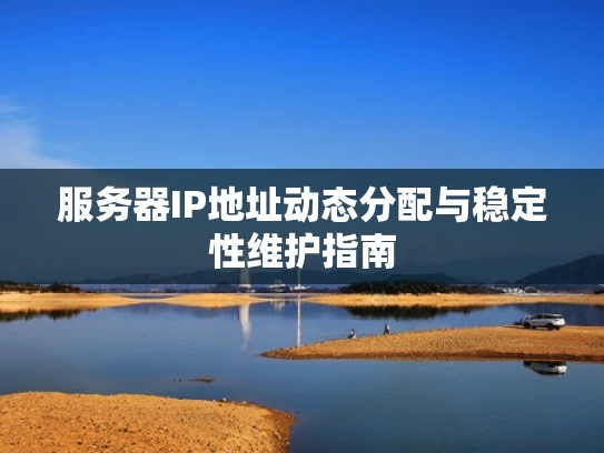 服务器IP地址动态分配与稳定性维护指南