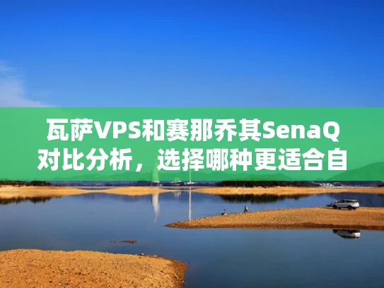 瓦萨VPS和赛那乔其SenaQ对比分析，选择哪种更适合自己？