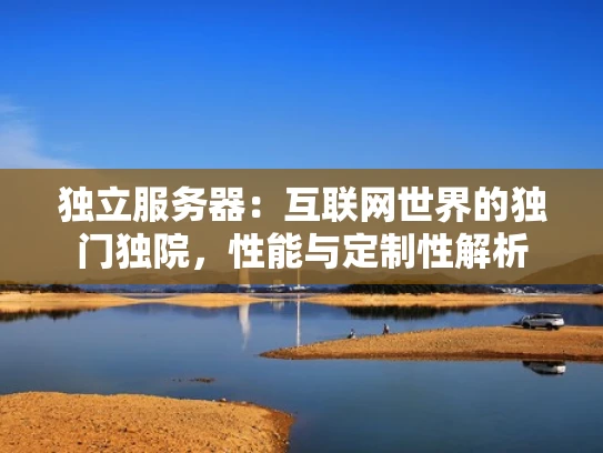 独立服务器：互联网世界的独门独院，性能与定制性解析