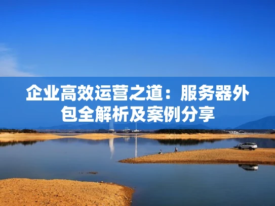 企业高效运营之道：服务器外包全解析及案例分享
