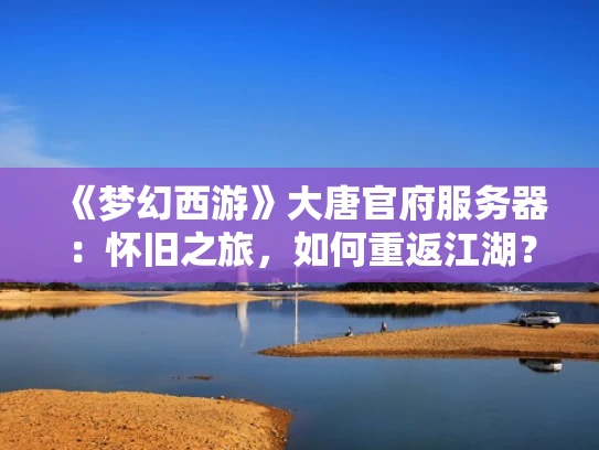 《梦幻西游》大唐官府服务器：怀旧之旅，如何重返江湖？