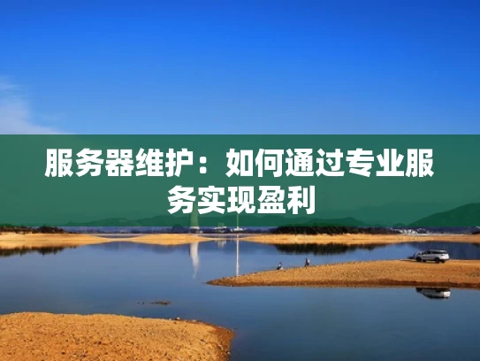 服务器维护：如何通过专业服务实现盈利