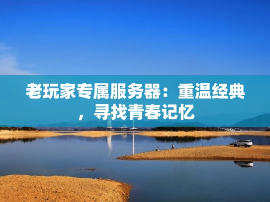 老玩家专属服务器：重温经典，寻找青春记忆