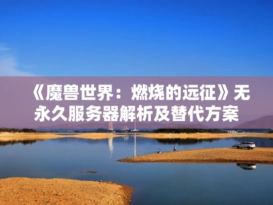 《魔兽世界：燃烧的远征》无永久服务器解析及替代方案