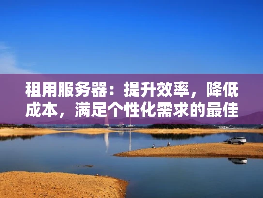 租用服务器：提升效率，降低成本，满足个性化需求的最佳选择