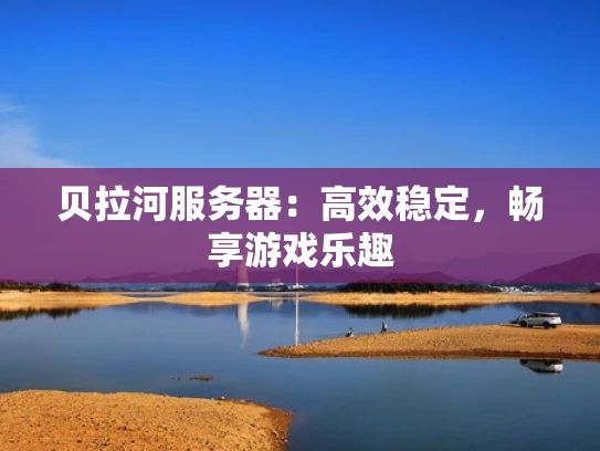 贝拉河服务器：高效稳定，畅享游戏乐趣