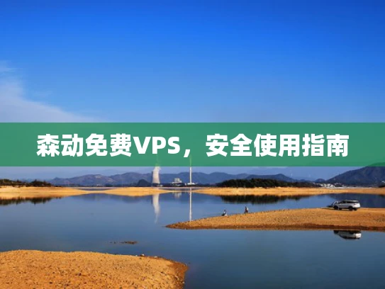 森动免费VPS，安全使用指南