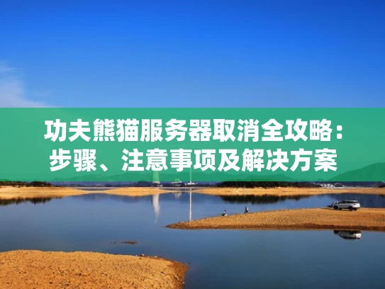 功夫熊猫服务器取消全攻略：步骤、注意事项及解决方案
