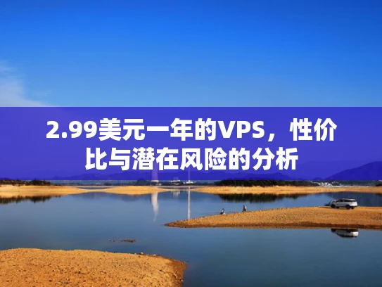 2.99美元一年的VPS，性价比与潜在风险的分析