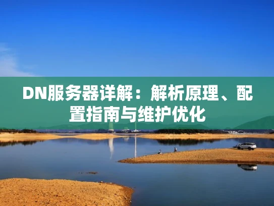 DN服务器详解：解析原理、配置指南与维护优化