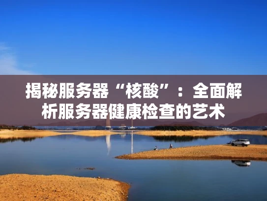 揭秘服务器“核酸”：全面解析服务器健康检查的艺术