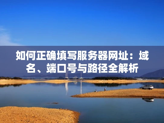 如何正确填写服务器网址：域名、端口号与路径全解析