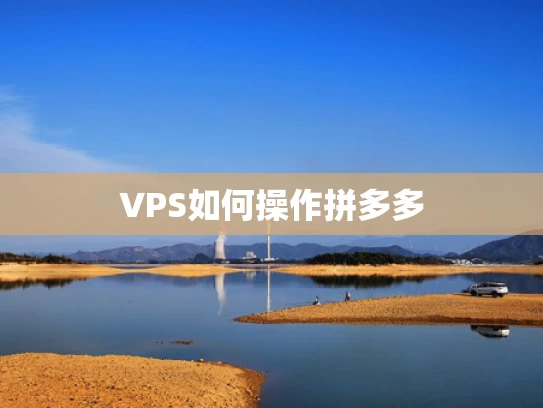 VPS如何操作拼多多