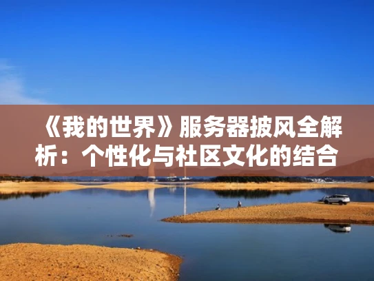 《我的世界》服务器披风全解析：个性化与社区文化的结合