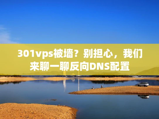 301vps被墙？别担心，我们来聊一聊反向DNS配置