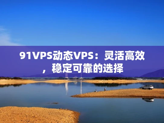 91VPS动态VPS：灵活高效，稳定可靠的选择
