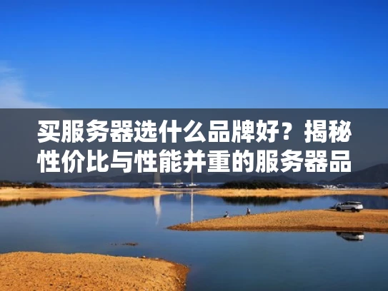 买服务器选什么品牌好？揭秘性价比与性能并重的服务器品牌
