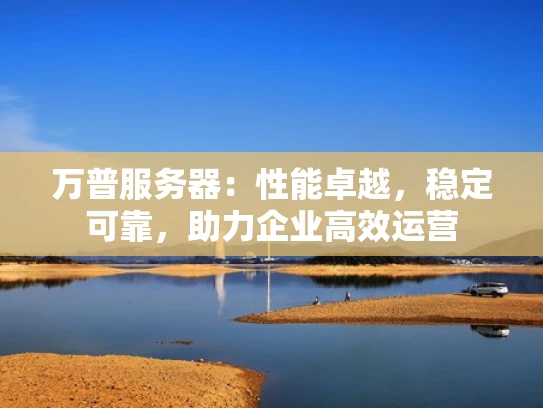 万普服务器：性能卓越，稳定可靠，助力企业高效运营