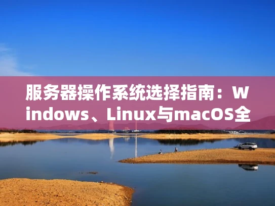 服务器操作系统选择指南：Windows、Linux与macOS全面解析