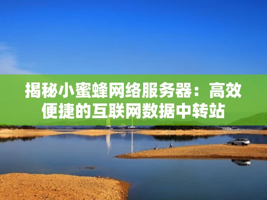 揭秘小蜜蜂网络服务器：高效便捷的互联网数据中转站