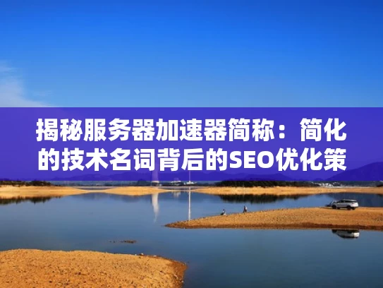 揭秘服务器加速器简称：简化的技术名词背后的SEO优化策略
