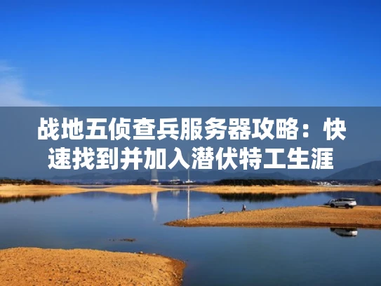 战地五侦查兵服务器攻略：快速找到并加入潜伏特工生涯