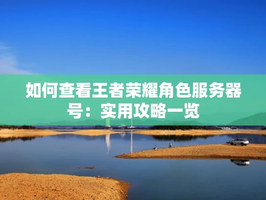 如何查看王者荣耀角色服务器号：实用攻略一览