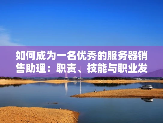 如何成为一名优秀的服务器销售助理：职责、技能与职业发展