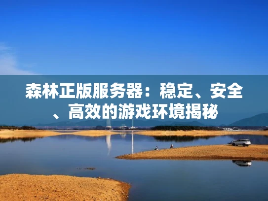 森林正版服务器：稳定、安全、高效的游戏环境揭秘