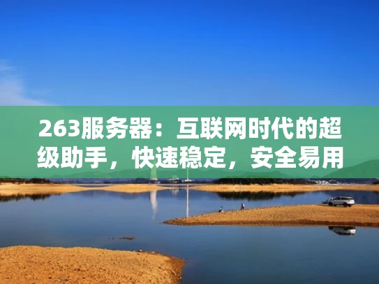 263服务器：互联网时代的超级助手，快速稳定，安全易用