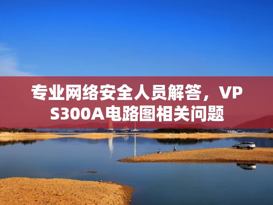 专业网络安全人员解答，VPS300A电路图相关问题