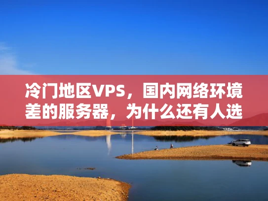 冷门地区VPS，国内网络环境差的服务器，为什么还有人选择？